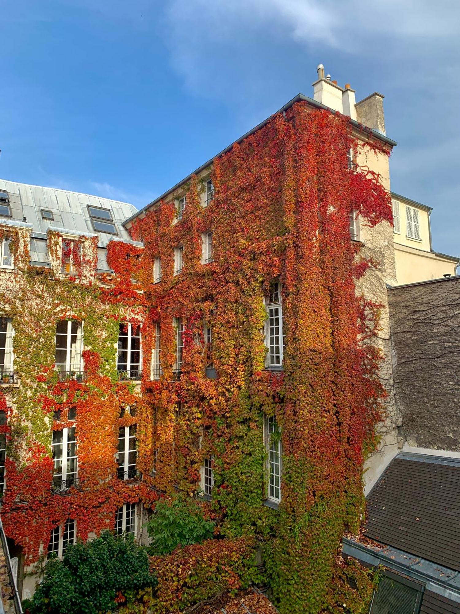 Studio Independant De Charme Apartment Paris